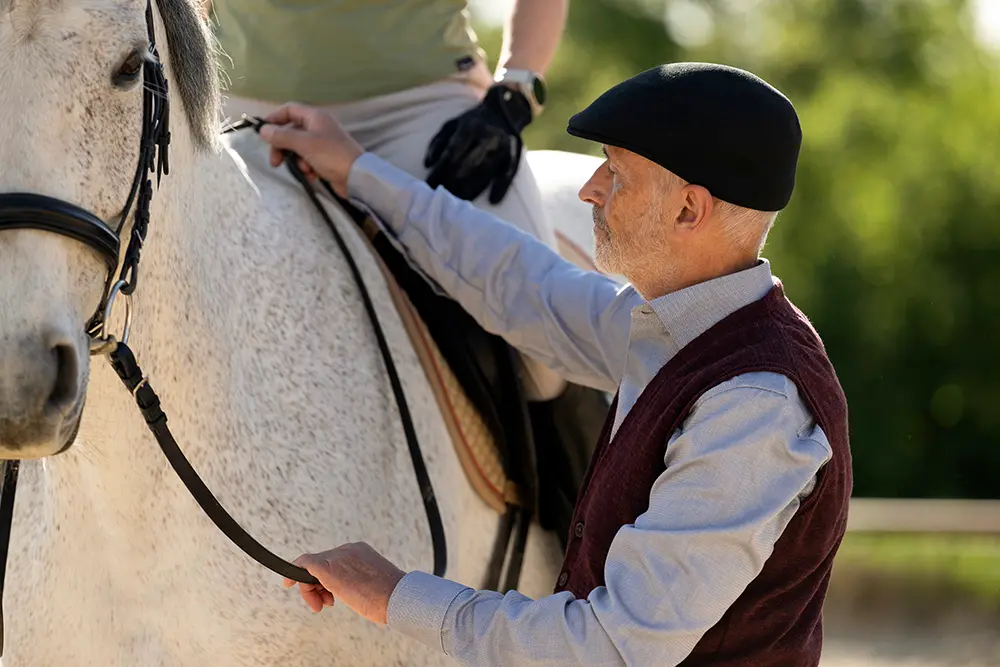 Korrekturen am Pferd