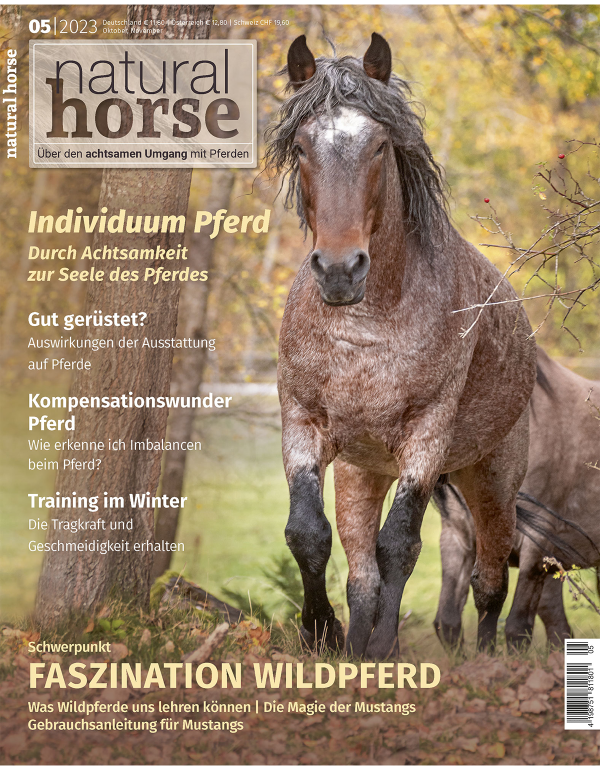 GUT GERÜSTET? Die Auswirkungen der Ausrüstung auf die Pferde